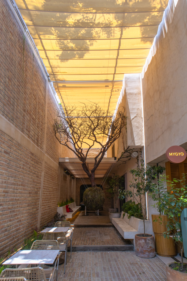 toldo corredizo de techo